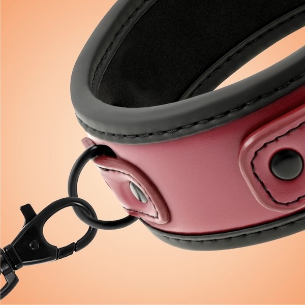 FETISH Collar and Leash red